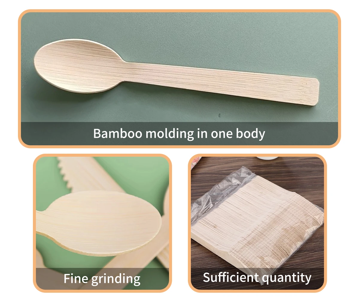 Biodegradable Disposable Spoons